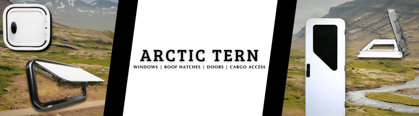 Arctic Tern
